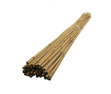 Bamboo Canes 8s
