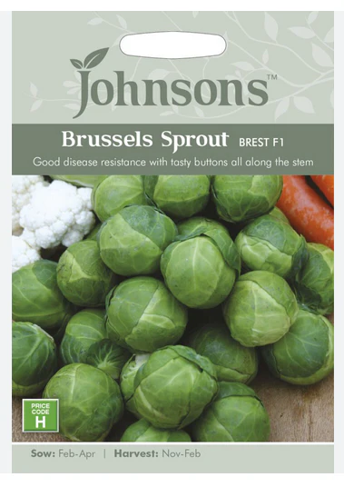 Brussells Sprout - Brest F1