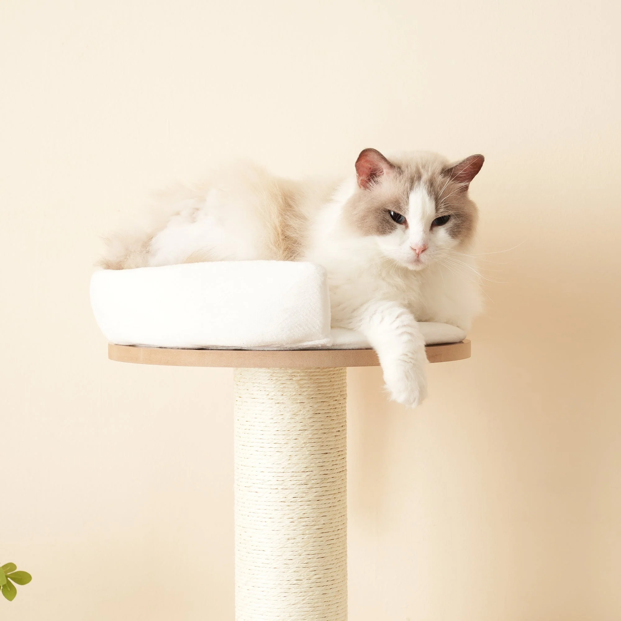 Cat Tree 135cm XXL Trunk Stable 3-Level Platforms Waterproof - Image 4