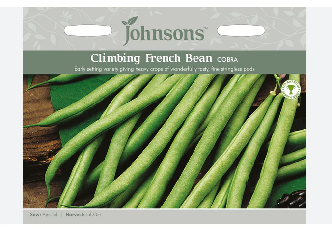 Climbing Bean - Cobra
