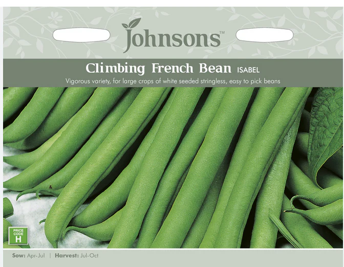 Climbing French Bean - Isabel