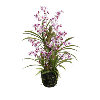 Dancing Orchid Pink 94cm