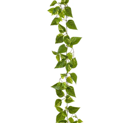 Devils Ivy Garland