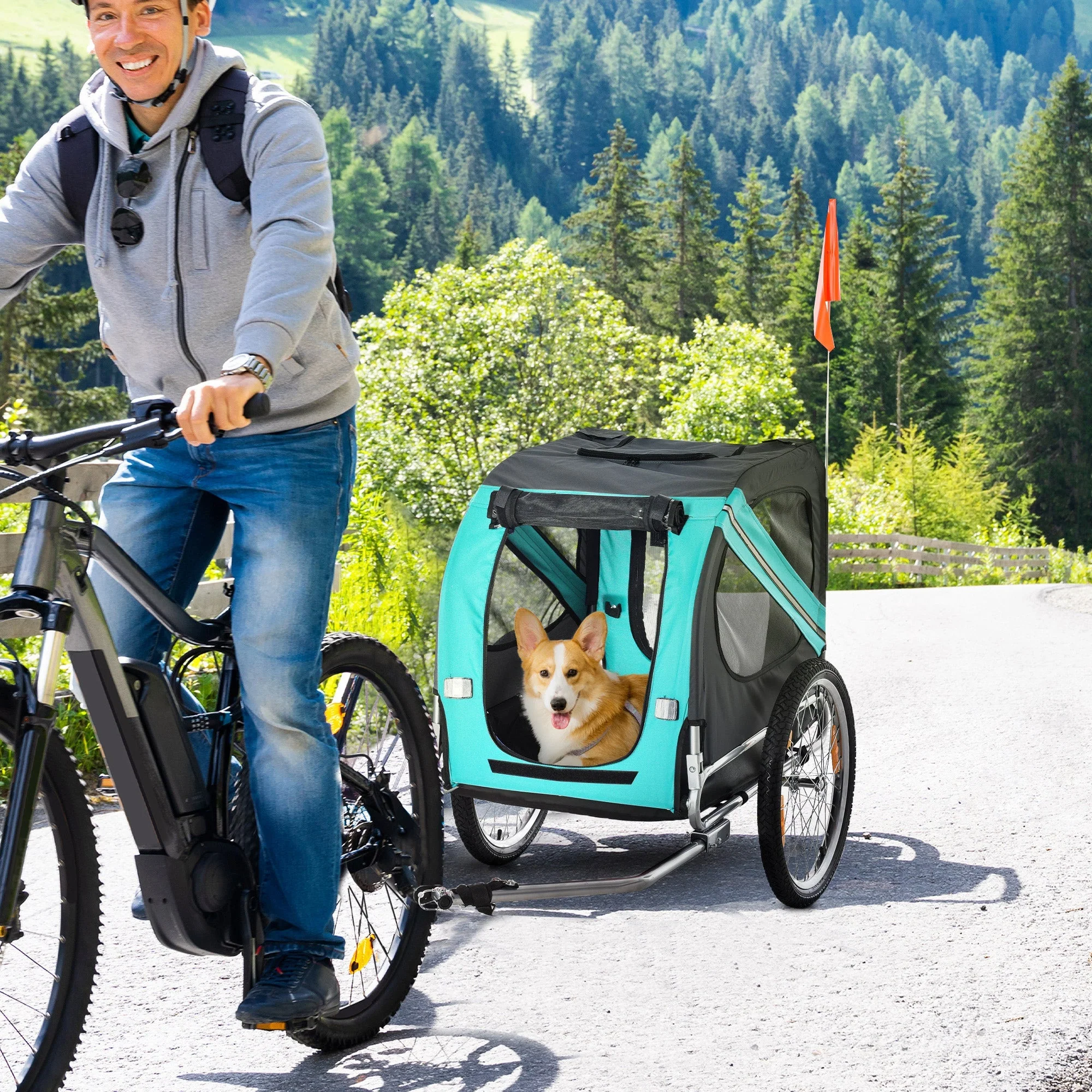 Dog Trailer, Bicycle Transporter, Oxford Fabric, Green