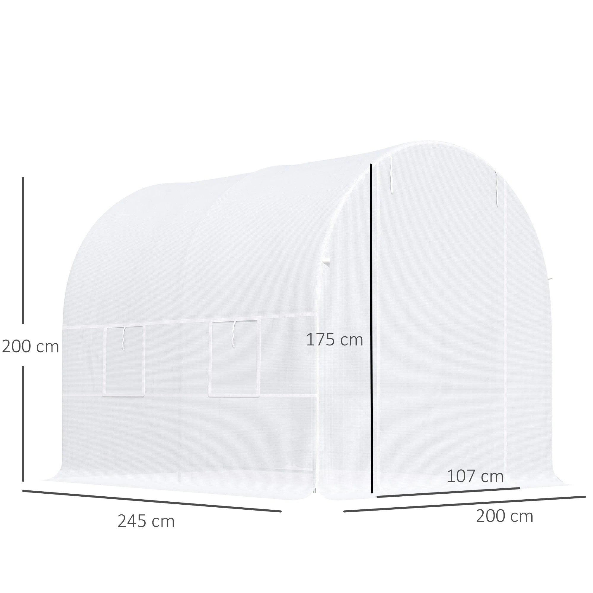 Foil Greenhouse, Hothouse Plant House 245x200x200 cm, Foil Material - Image 3