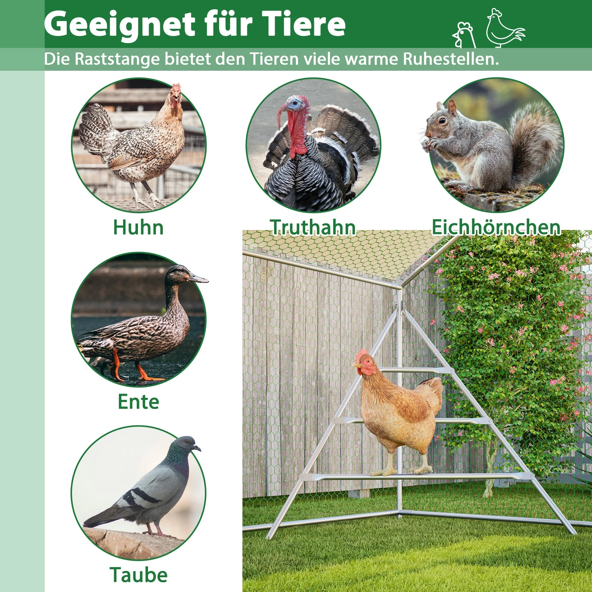 Giant Professional Chicken Coop Aviary 3x6m with Climbing Frame Metal - Image 4