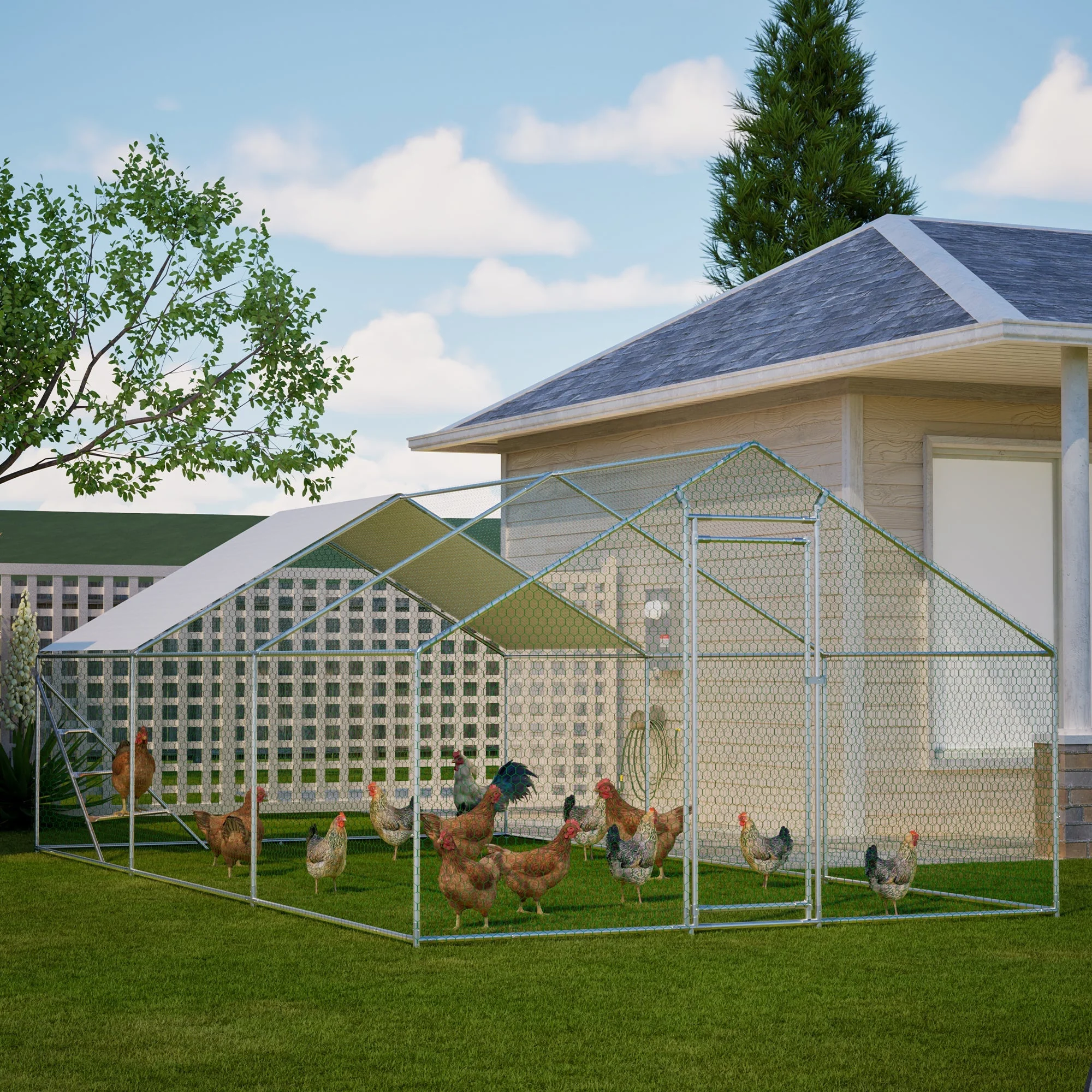 Giant Professional Chicken Coop Aviary 3x6m with Climbing Frame Metal - Image 8