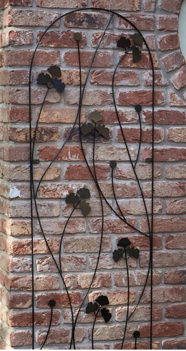 Gingko Trellis