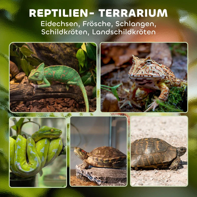 Glass Terrarium for Reptiles, Raised Waterproof Base, Button Lock, Glass - Image 4