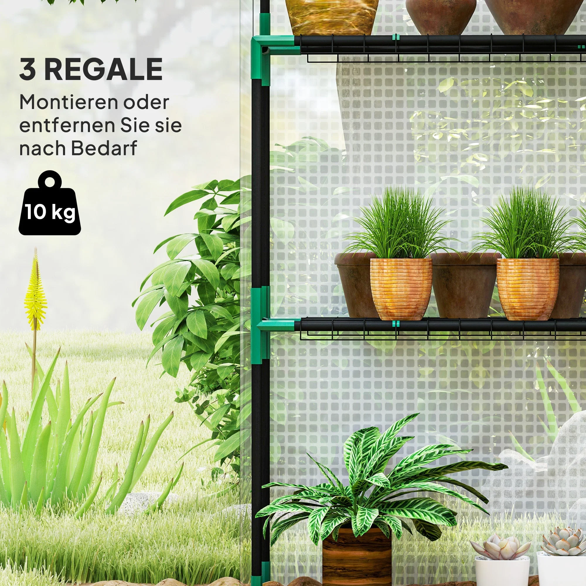 Greenhouse, Roll-Up Door, Window, Shelves, 143x74x190cm, White - Image 4