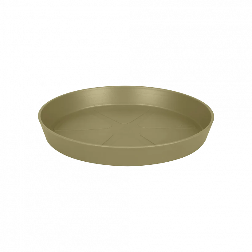 Loft Urban Saucer Round 17 (Green)