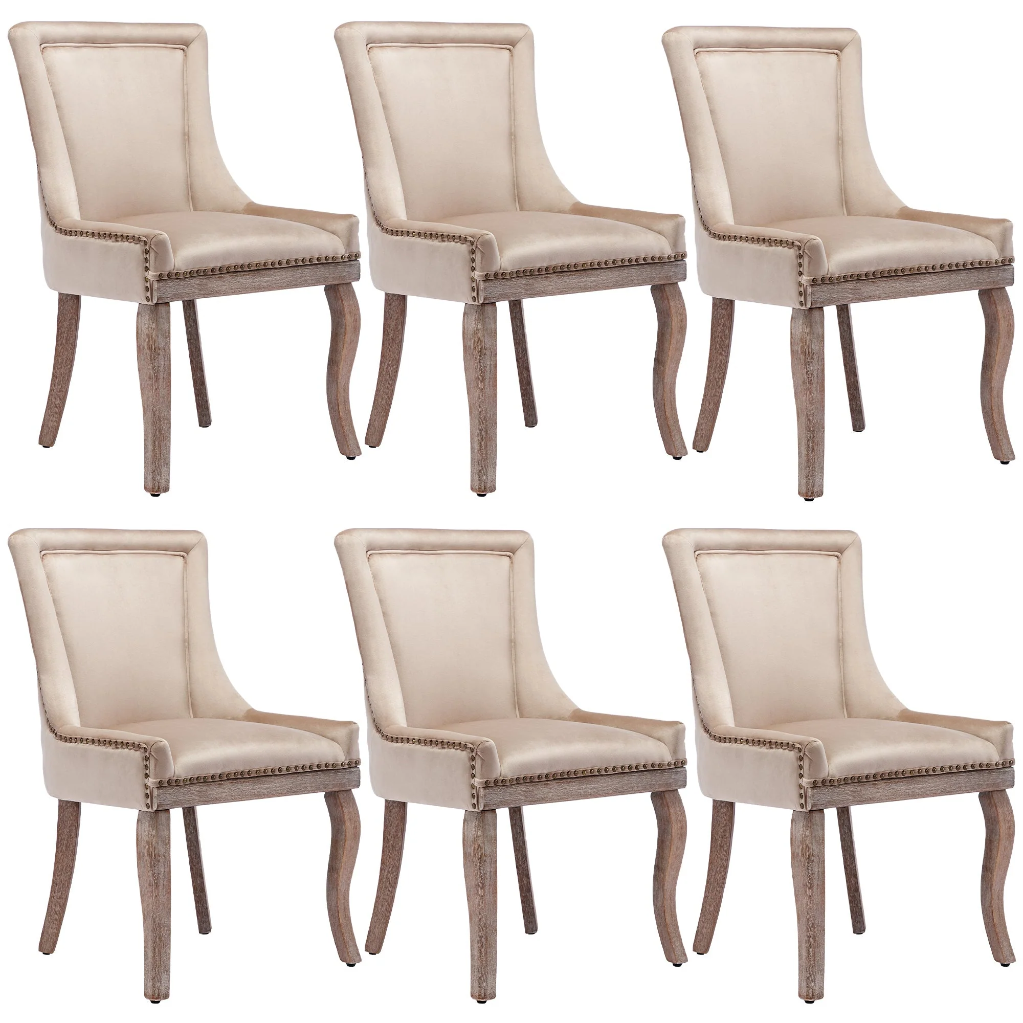 Luxurious Dining Chair Set of 6 Upholstered Nailhead Trim Solid Wood Legs Beige Velvet - Image 9