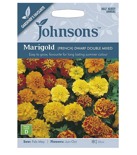 Marigold - French Dwarf