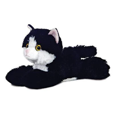 MF Maynard Cat