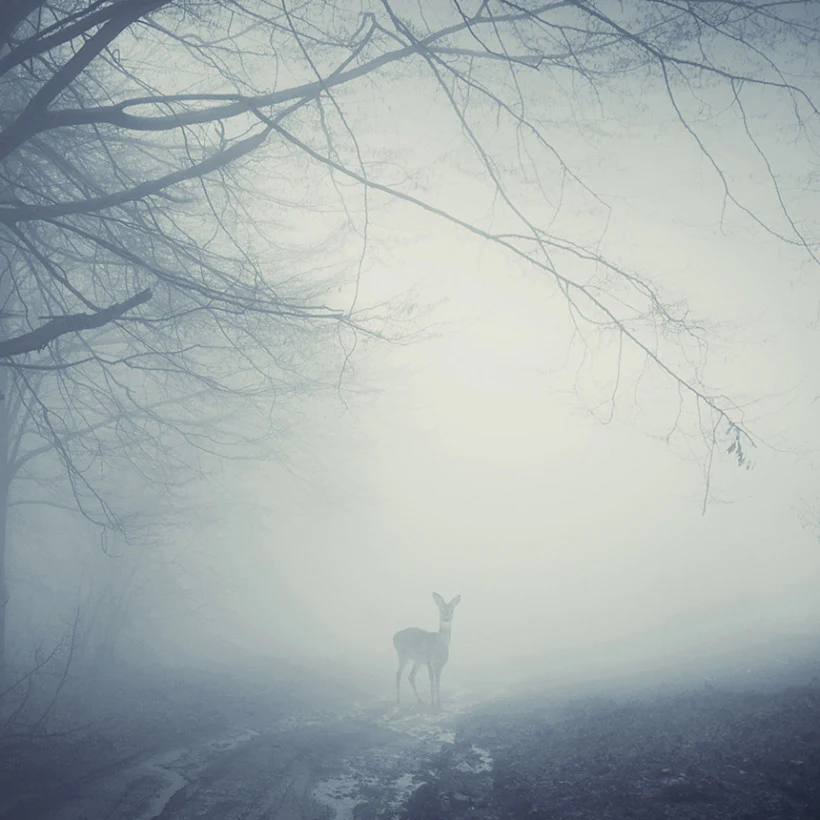 Misty Road, 50cmx70cm wall art