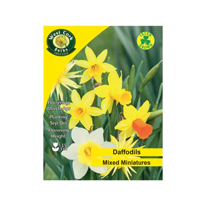 Mix Miniature Daffodils 10 bulbs