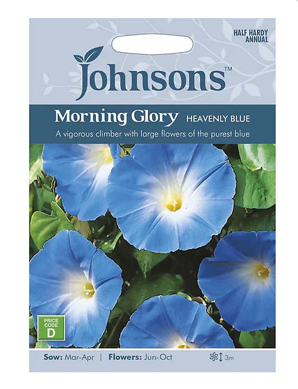 Morning Glory - Heavenly Blue