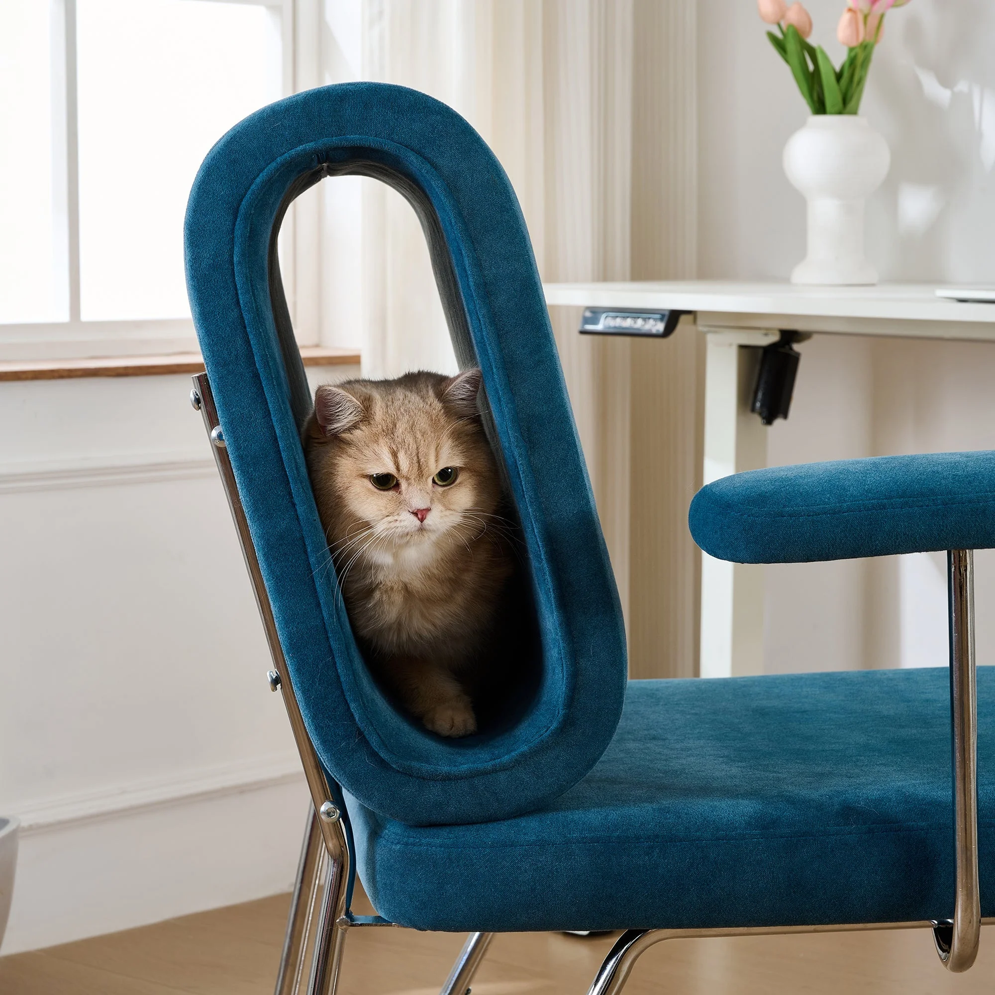 Office Chair with Integrated Cat Bed, Scratch-Resistant, Armchair - Image 8