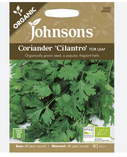 Organic Coriander - Cilantro For Leaf