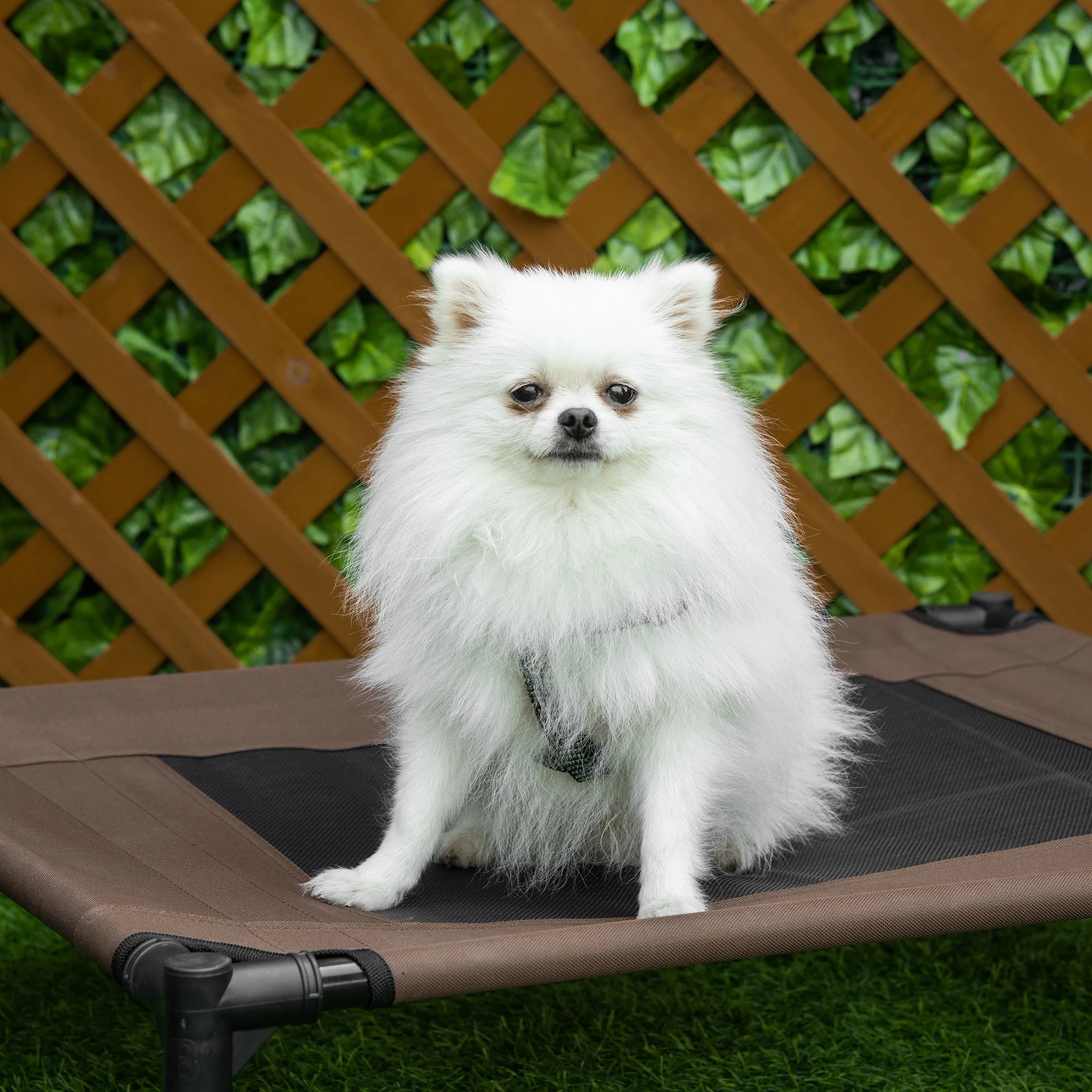 Outdoor Dog Bed, Raised Pet Bed with Washable Mesh, Brown - Image 3