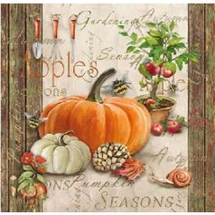 Paper Napkins - Autumn Gardening