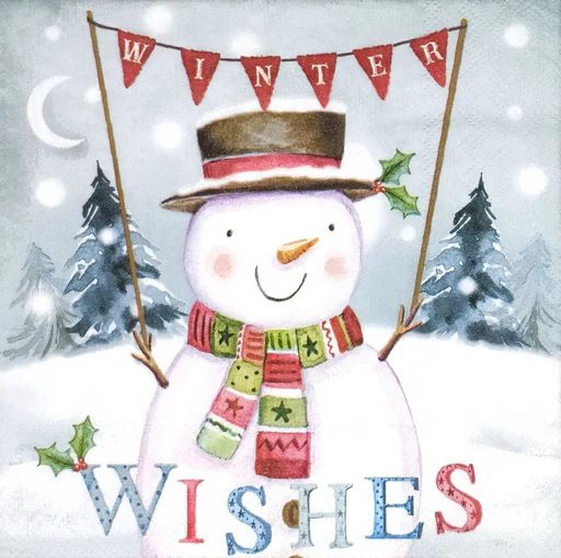 Paper Napkins - Winter Wishes
