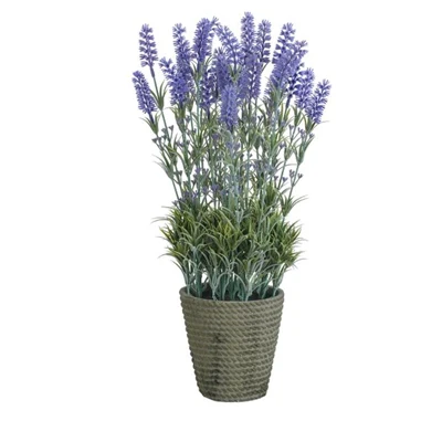 Potted Lavender 53cm