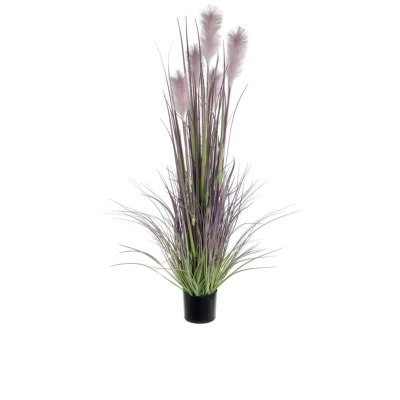 Reed Grass Mauve 152cm