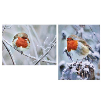 Robin Canvas LED