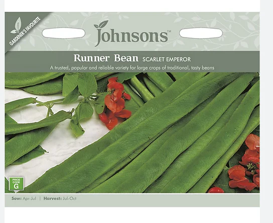 Runner Bean - Scarlet Empe