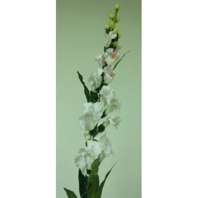 Snapdragon cream/pink