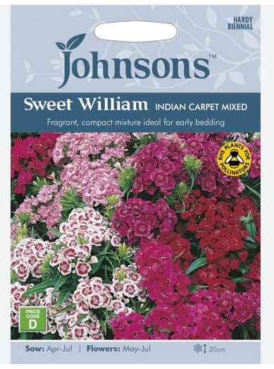 Sweet William - Indian Car