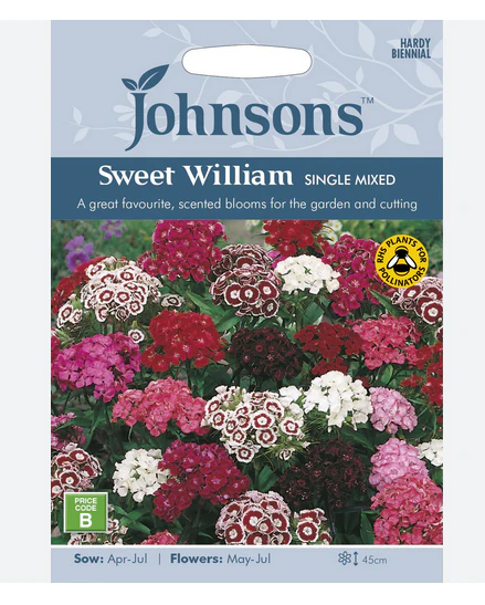 Sweet William - Single Mix