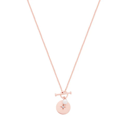 T-Bar Pendant RG Disc