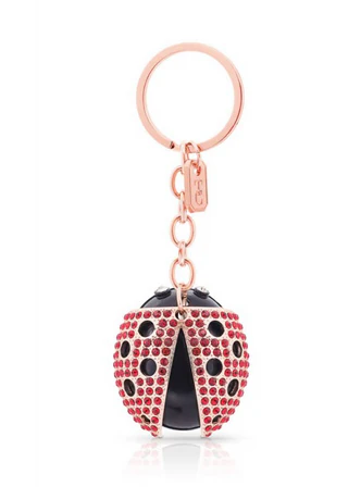 Tipperary C Keyring - Ladybird