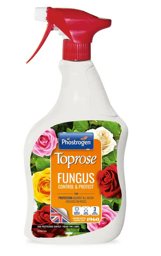 Toprose Fungus Control & Protect
