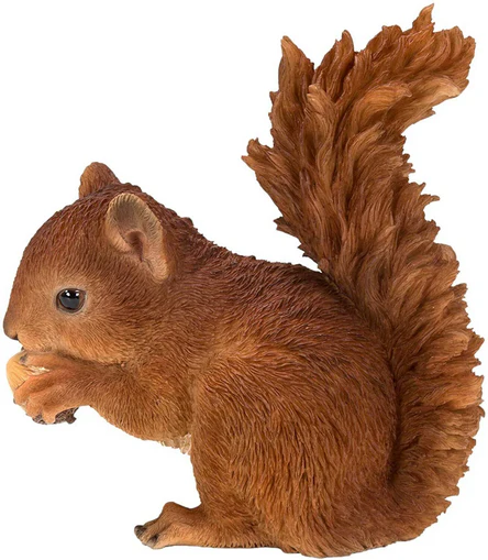 VA Baby Red Squirrel F