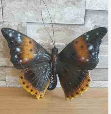 VA Glossy Butterfly