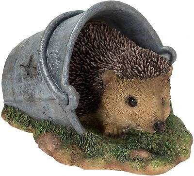 VA Hedgehog in Rusty Pail