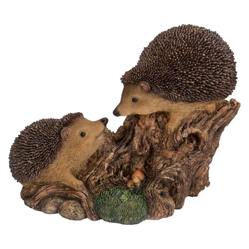 VA Playful Baby Hedgehogs
