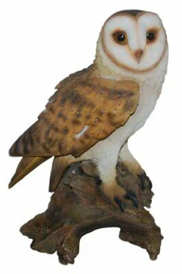VA RL Barn Owl