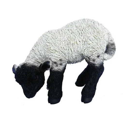 VA RL Black/White Lamb