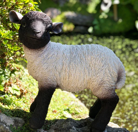 VA RL Black/White Standing Lamb