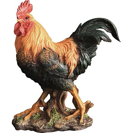 VA RL Cockerel