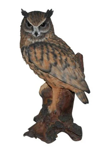 VA RL Long Eared Owl