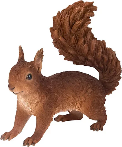 VA RL Running Red Squirrel