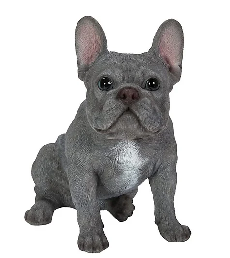VA RL Sitting French Bulldog