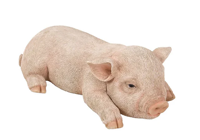 VA RL Sleeping Piglet