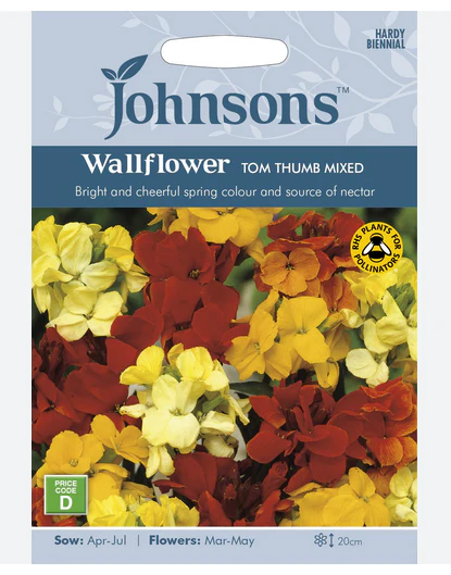 Wallflower - Tom Thumb Mix