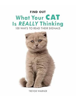 What Your Cat is Really Thinking